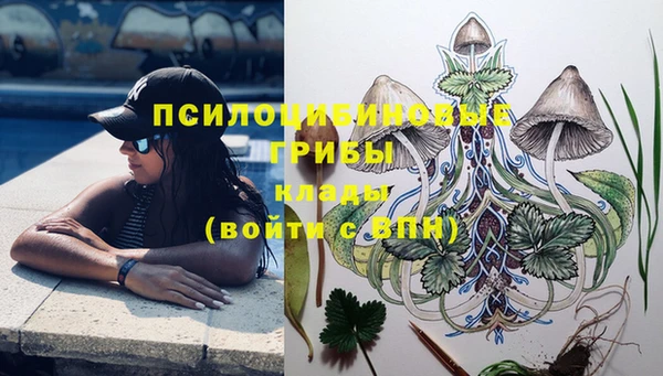 дурь Новокубанск