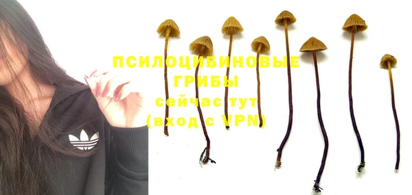 MDMA Premium VHQ Болхов