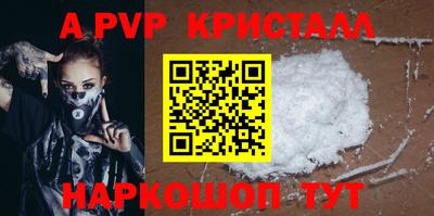 СК Гатчина