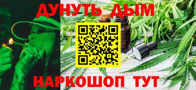 СК Гатчина