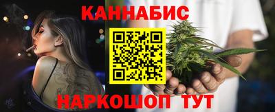 СК Гатчина