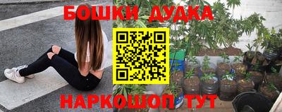 соль ск Будённовск