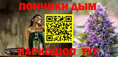 СК Гатчина