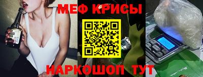 СК Гатчина