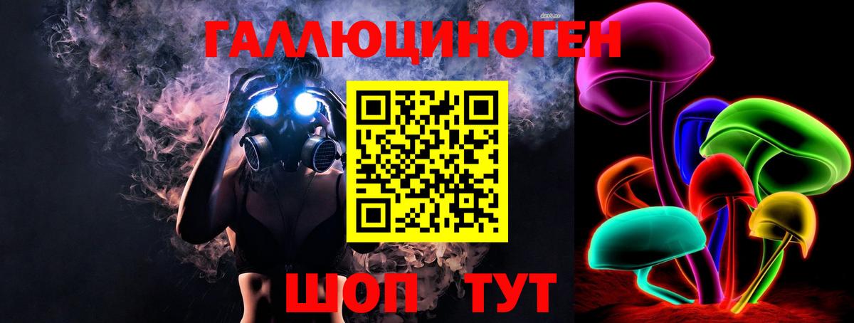 Котельники  Псилоцибиновые грибы Psilocybine cubensis  Вход с VPN  Псилоцибиновые грибы GOLDEN TEACHER 