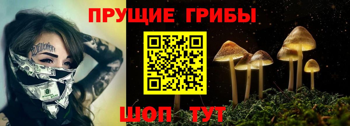 Псилоцибиновые грибы MAGIC MUSHROOMS Котельники